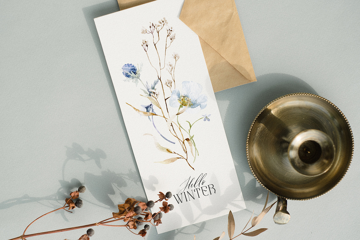 Cold season - watercolor wildflowers, a Decorative Illustration by Pamyatka Shop (Photo 12 of 18)