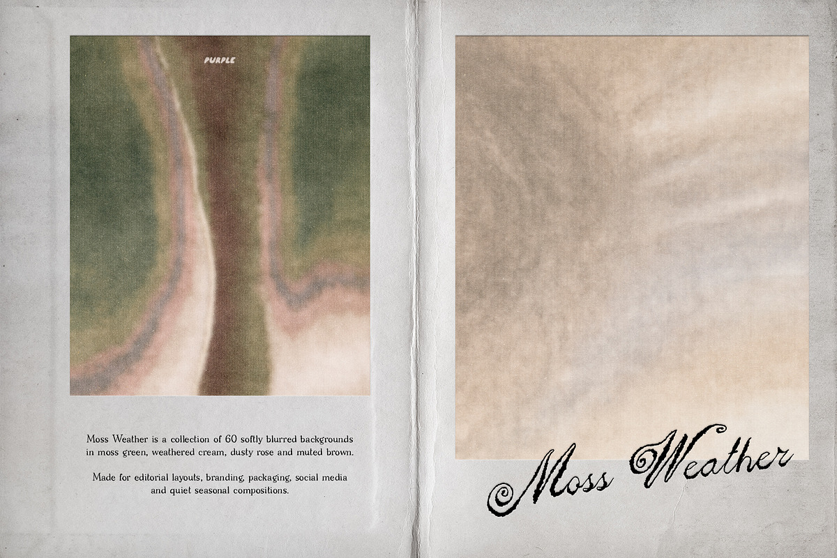 Moss Weather: Fall Backgrounds, a Texture Graphic by Purple (Photo 7 of 11)