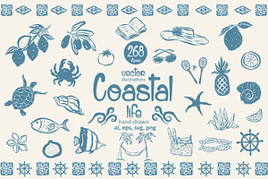 Coastal Life. Vector Illustrations., a Seasonal Illustration by Designwork