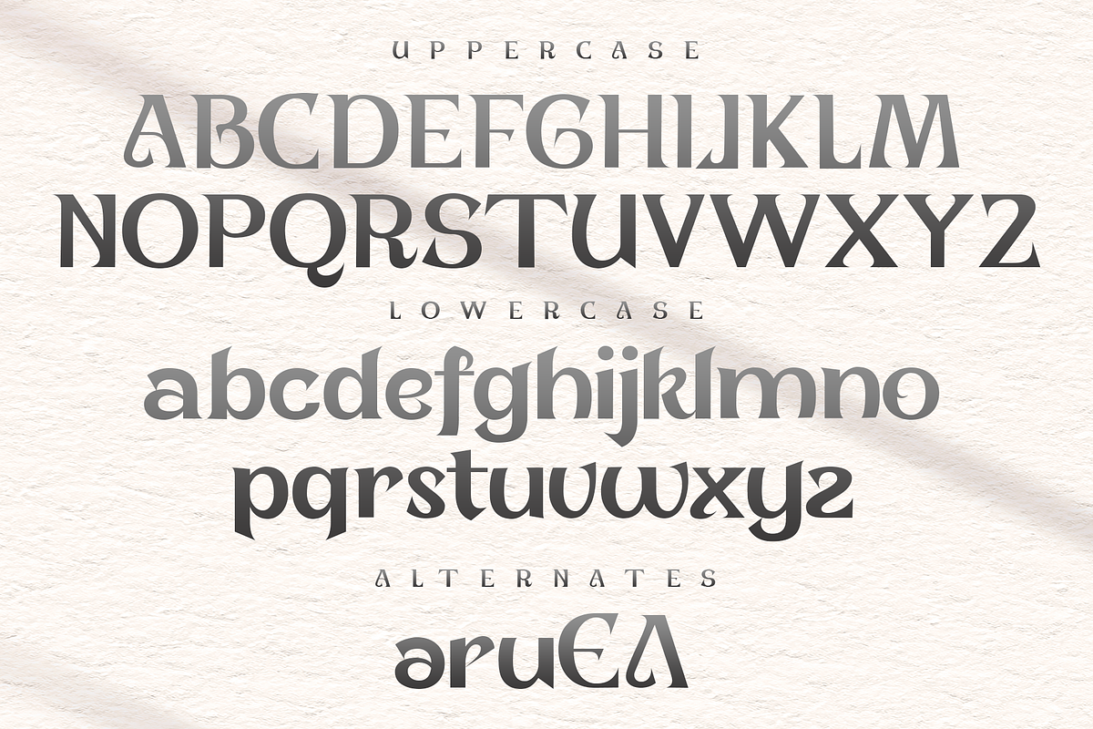 Morica - Unique Display Font, a Serif Font by overlaytemplates (Photo 4 of 5)
