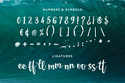 San Luis Script Font, a Script Font by Design Panoply (Thumbnail 6 of 11)