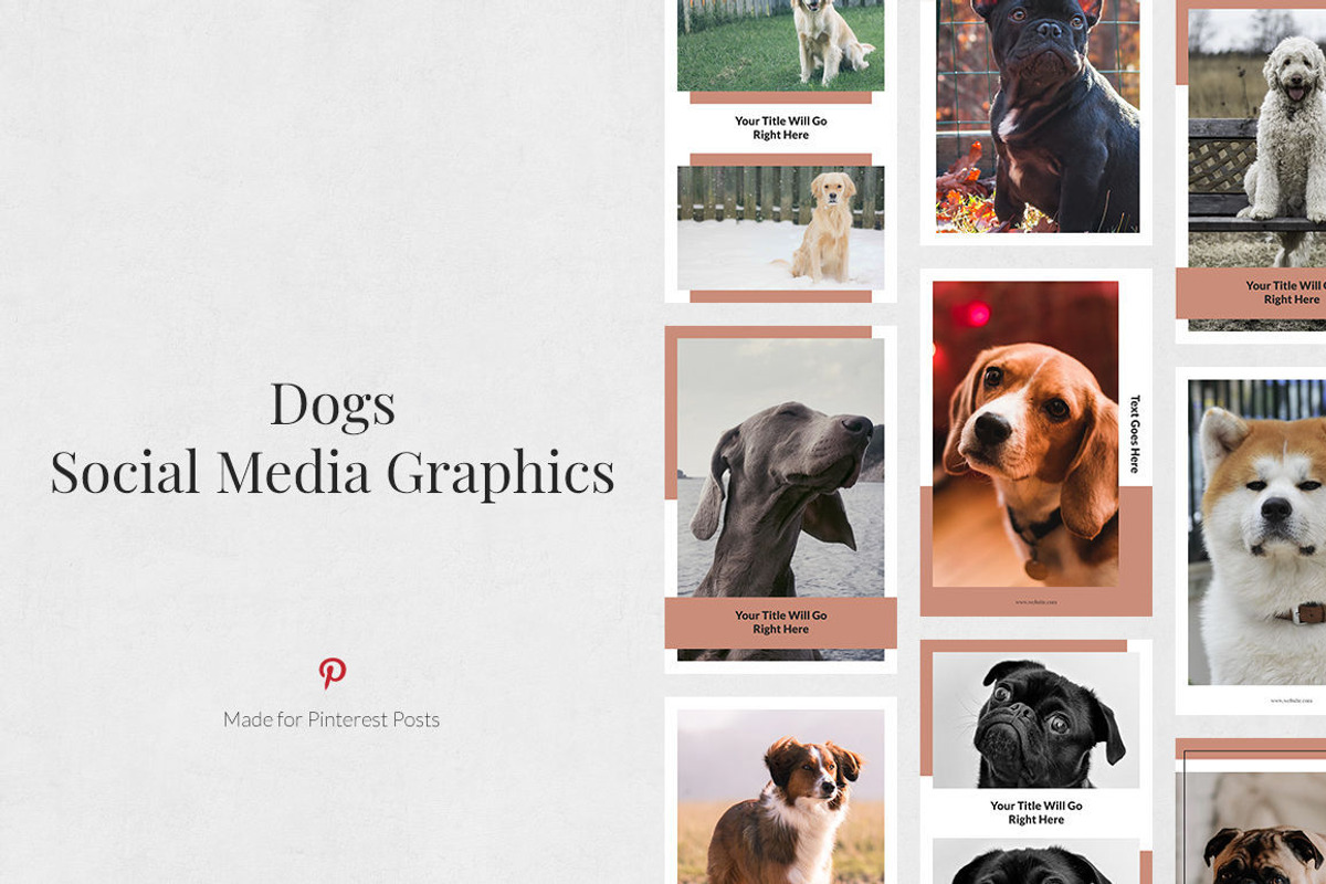 Pinterest Posts Bundle, a Social Media Template by Social Corner Graphics (Photo 20 of 37)