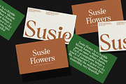 CS Hayes – Art Nouveau Font, a Serif Font by Craft Supply Co. (Thumbnail 6 of 8)