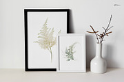 Spring greenery, floral cliparts, a Texture Illustration by ollalya (Thumbnail 13 of 14)
