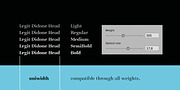 Legit Didone Head, a Serif Font by Finaltype (Thumbnail 4 of 14)