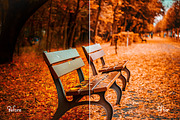 Autumn Photoshop Actions 110 Bundle, an Action Add-On by ARTNEST (Thumbnail 5 of 11)