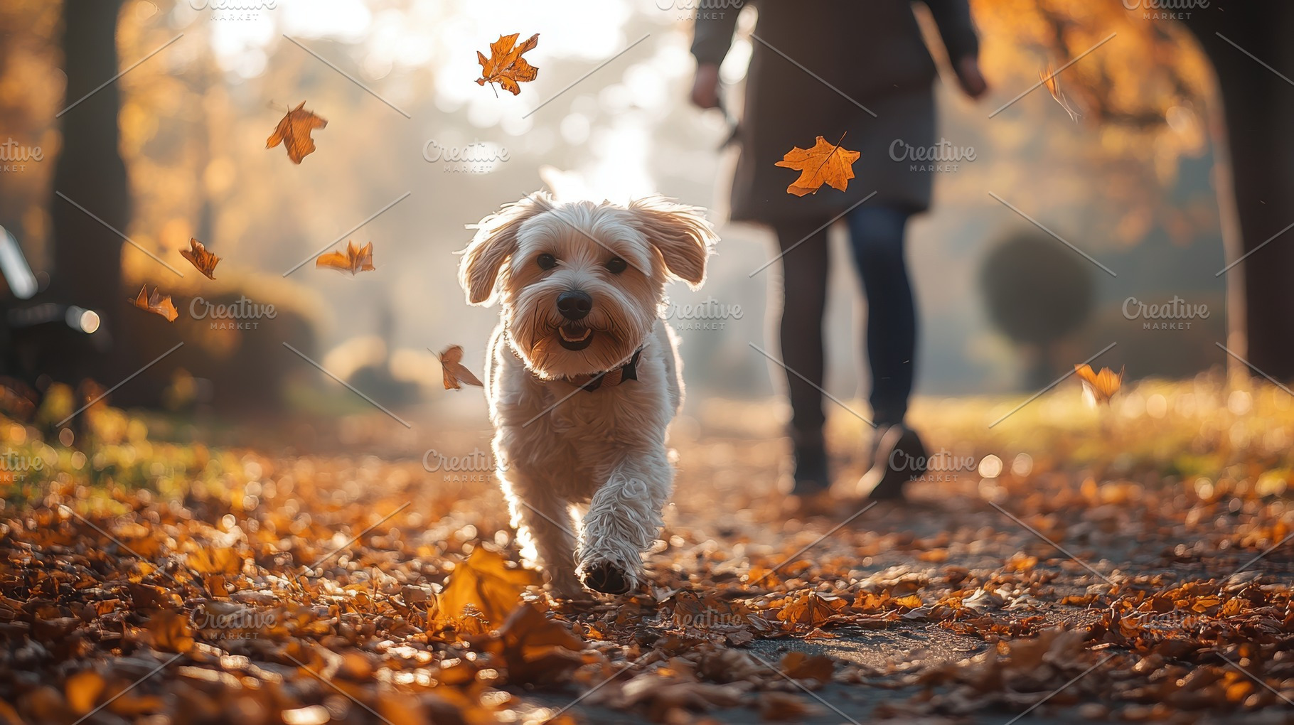 Joyful dog romps through fallen leav, an Animal Photo by Pixeness Studio