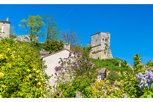 Buildings in saintemilion a unesco heritage site in france featuring france, a Nature Photo by Leonid Andronov