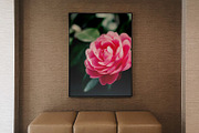 FlowerBloom - Fine Art Photography, a Photo by Marie Dumora (Thumbnail 4 of 4)