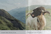 Crumpled: Paper Texture Overlays, a Texture Graphic by Anastasiia VNSK (Thumbnail 11 of 19)