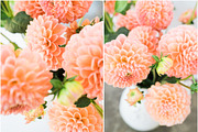 Dahlia Floral Styled Stock Images, a Social Media Template by LaPorte Images (Thumbnail 3 of 4)
