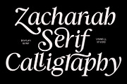 Zachariah Calligraphic Italic Serif, a Serif Font by Viswell (Thumbnail 1 of 10)