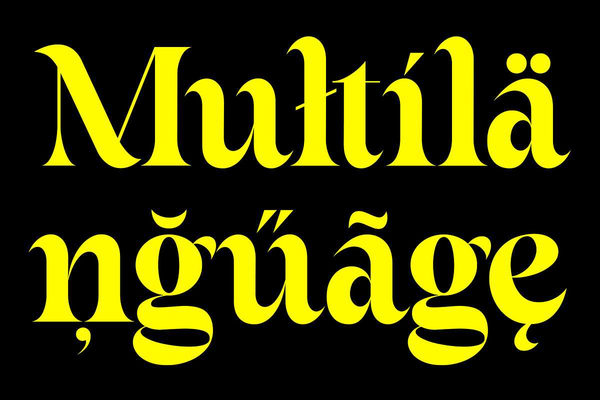 ED Fortrose - Serif Typeface, a Serif Font by Emyself Design (Photo 5 of 10)