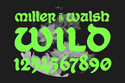 Wanderland Display Font, a Script Font by Vintage Type Company (Thumbnail 4 of 9)