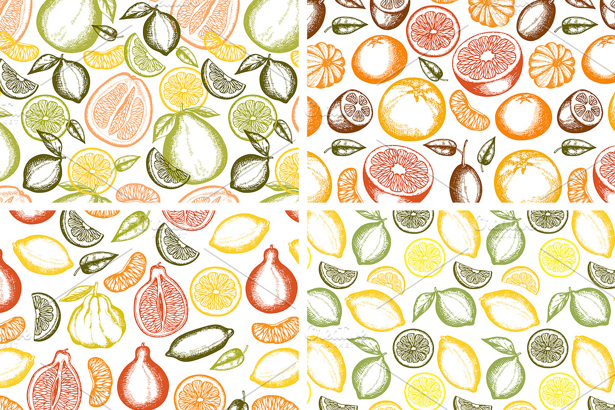Vintage Citrus Fruits Design Kit, a Food Illustration by Artspace (Photo 2 of 3)
