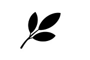 Botanical Leaf Silhouette Bundle, an Illustration by Creativeshirt (Thumbnail 11 of 51)