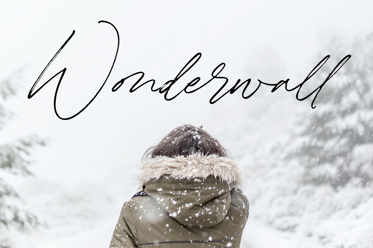 Winterlady- Beautiful Script Font, a Script Font by Balpirick Studio (Photo 5 of 7)