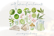 Lime! Watercolor clip art & patterns, a Food Illustration by Shabbypie (Thumbnail 2 of 4)
