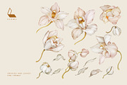 4-in-1 Floral Pattern Bundle, a Pattern Graphic by Karma (Thumbnail 18 of 43)