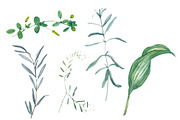 Watercolor grass and wildflowers, an Object Graphic by JuliaFast (Thumbnail 6 of 6)