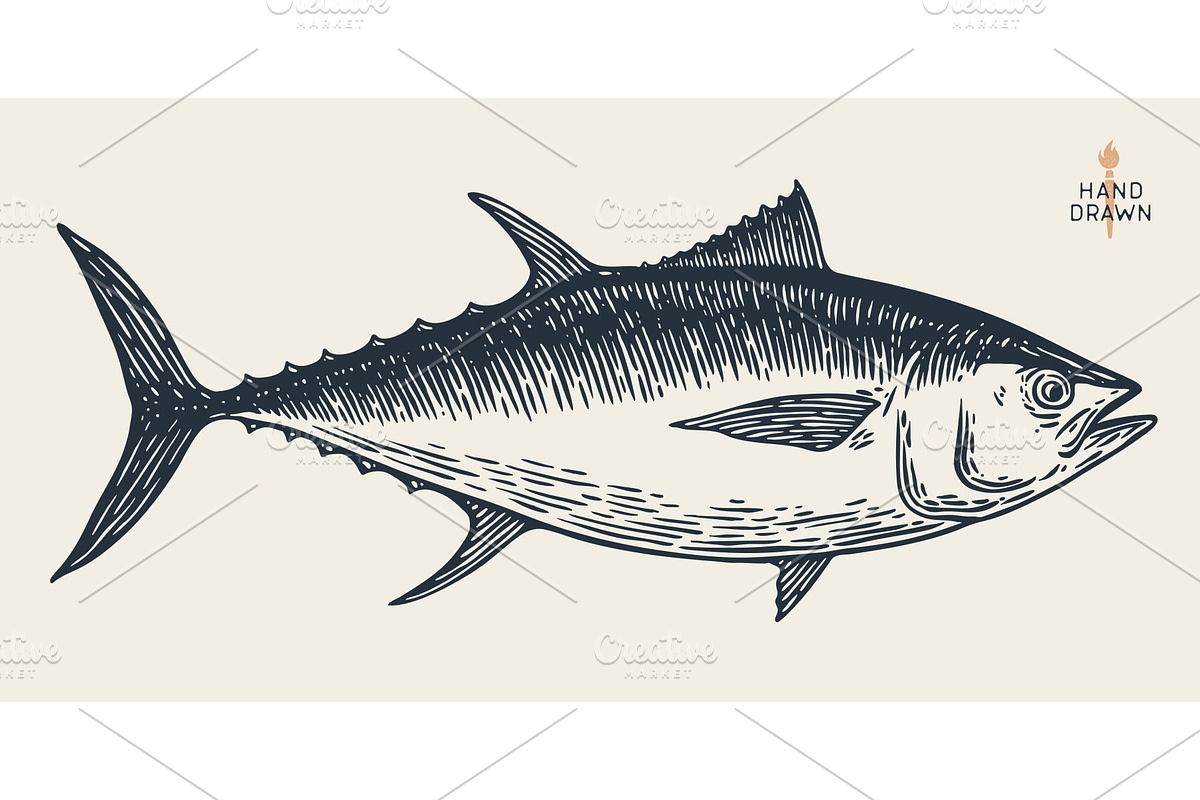 Tuna Fish, seafood, sketch, an Animal Illustration by Foxys Graphic