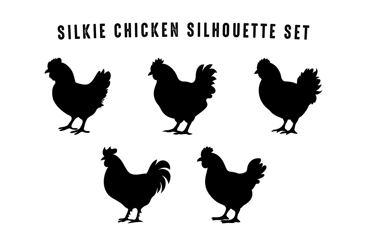Silkie Chickens SVG Black Set, an Animal Illustration by Gfx Expert Team (Photo 2 of 3)