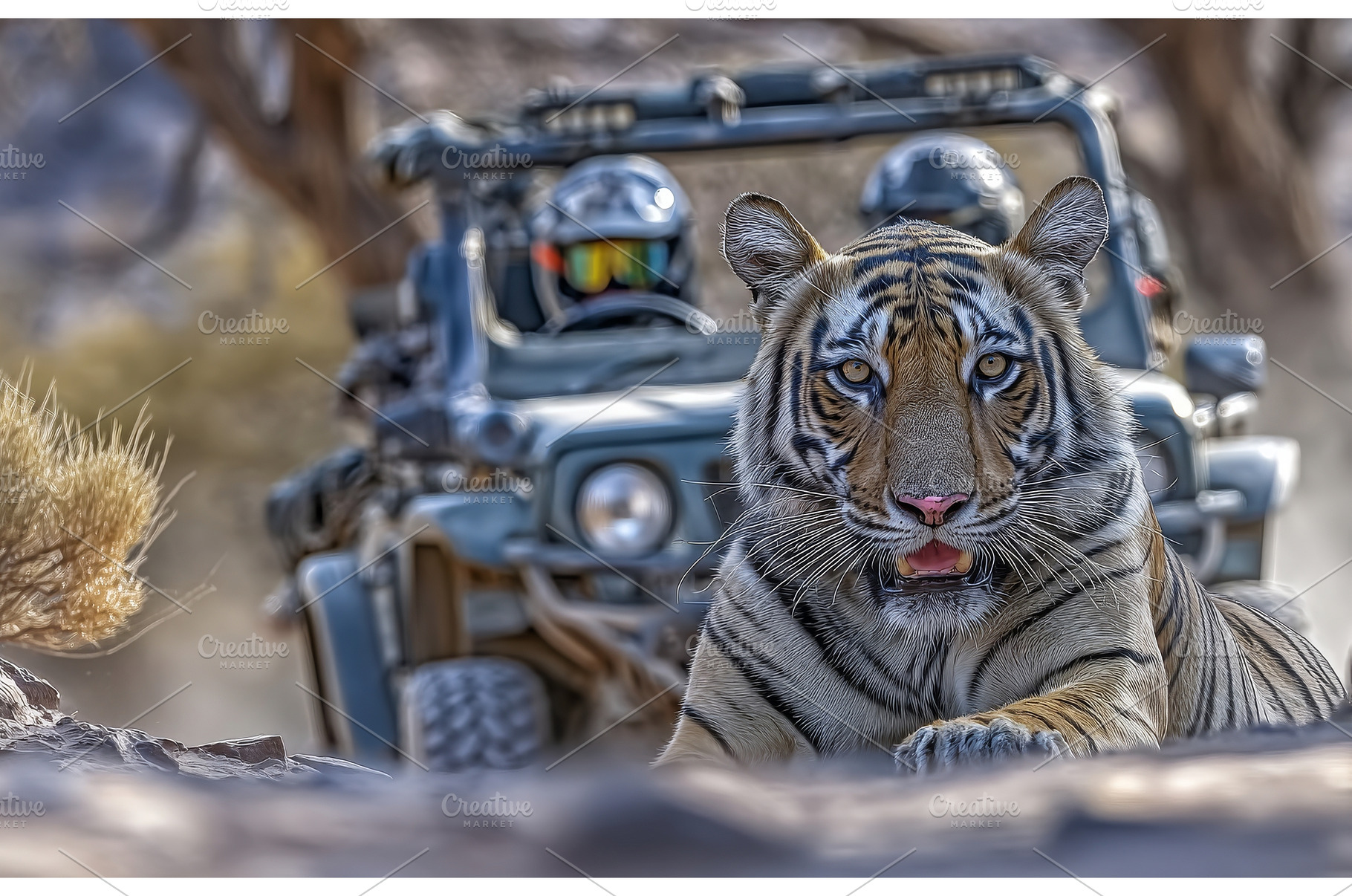 An adult tiger is patrolling its, an Animal Photo by ZinetroN