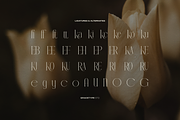 Anora Carmeo | Display Elegant Serif, a Font by gracetype_studio (Thumbnail 11 of 12)