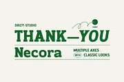 Necora – Multiple Axes Classic Font, a Serif Font by Drizy (Thumbnail 10 of 10)