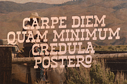 Mount West - Western Slab, a Slab Serif Font by Viswell (Thumbnail 6 of 10)
