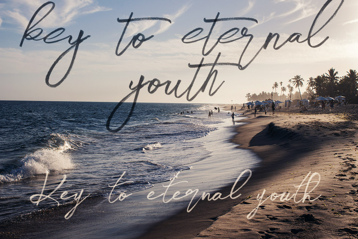 Midnight Brush & SVG Font, a Script Font by Cruzine (Photo 14 of 19)