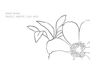 Flowers Line Arts Clipart