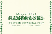 Ramblings Hand Crafted Western Font, a Serif Font by Madeline ODonoghue Design (Thumbnail 8 of 8)