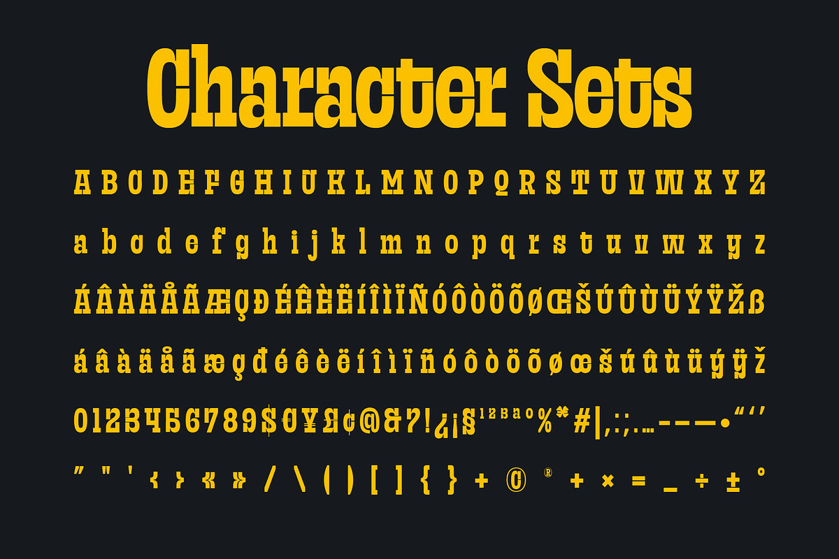 Frust Stonig - Inktrap Slab Serif, a Slab Serif Font by Variatype (Photo 11 of 12)