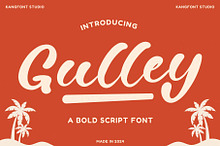 Gulley – Bold Script Font