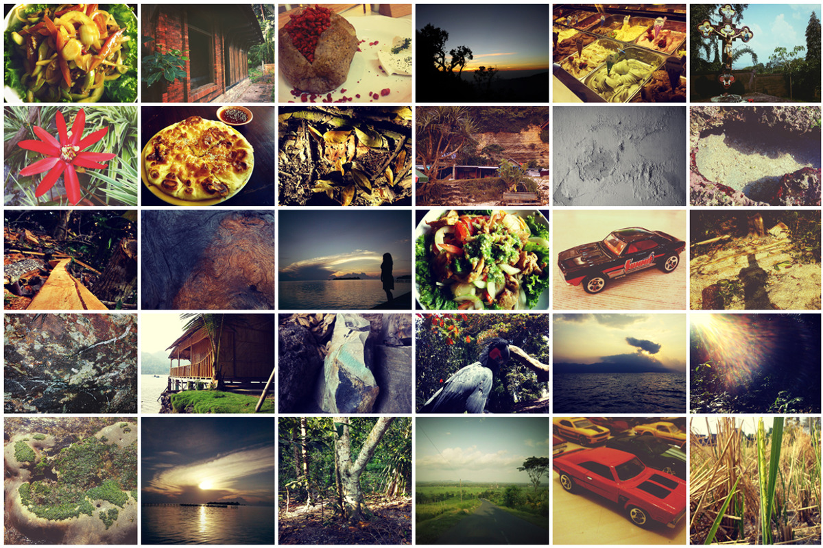 150 Photos + Bonus, a Templates & Theme by alyaphotoworks (Photo 5 of 5)