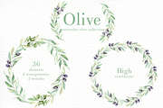 Olive Watercolor clipart, an Illustration by everysunsun (Thumbnail 4 of 4)