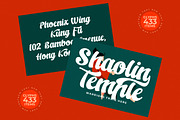 Kungfu Flame Bold Calligraphy, a Serif Font by timelesstype.co (Thumbnail 6 of 20)