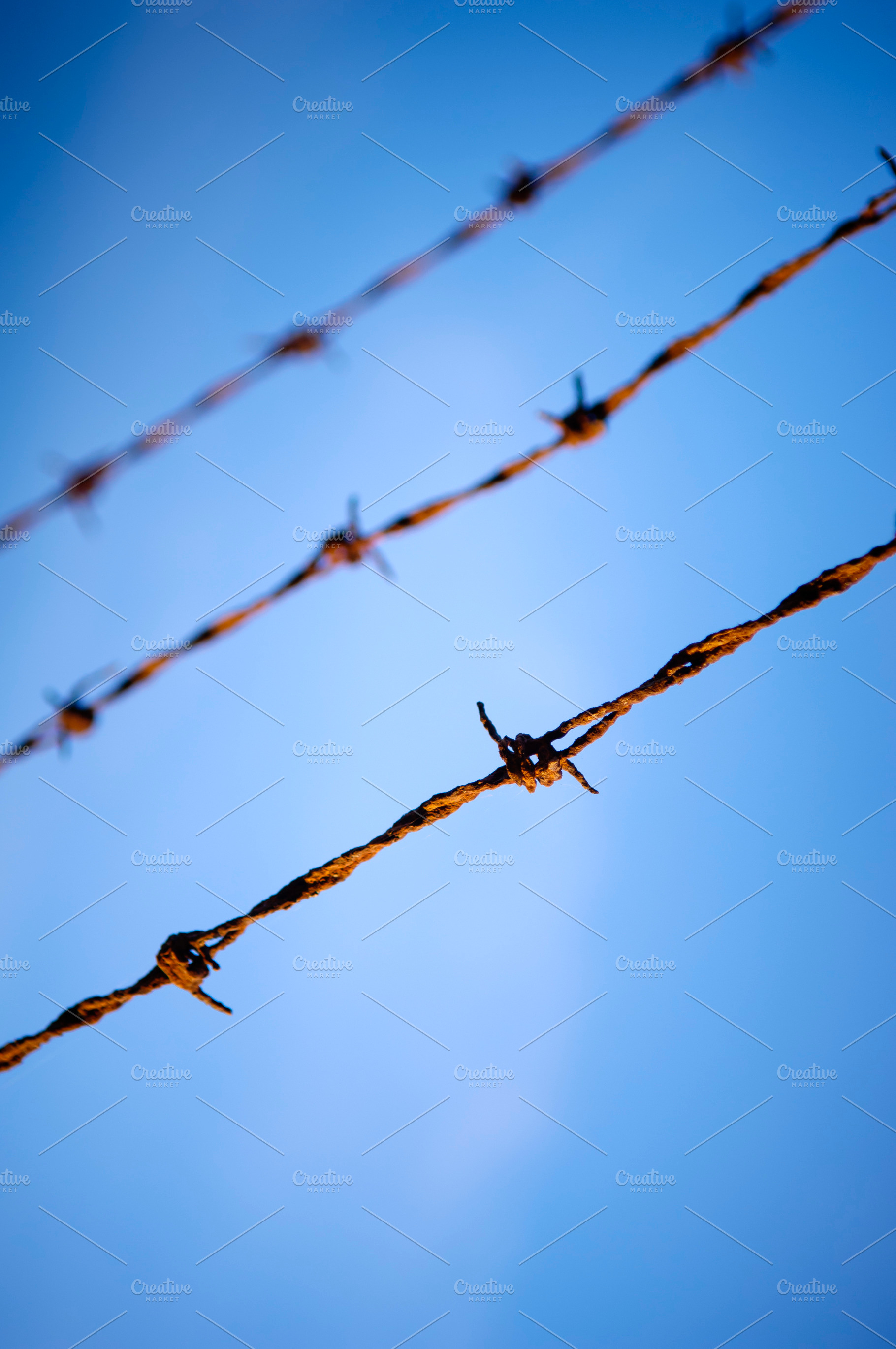 Barbed Wire Close, an Industrial Photo by THP Creative