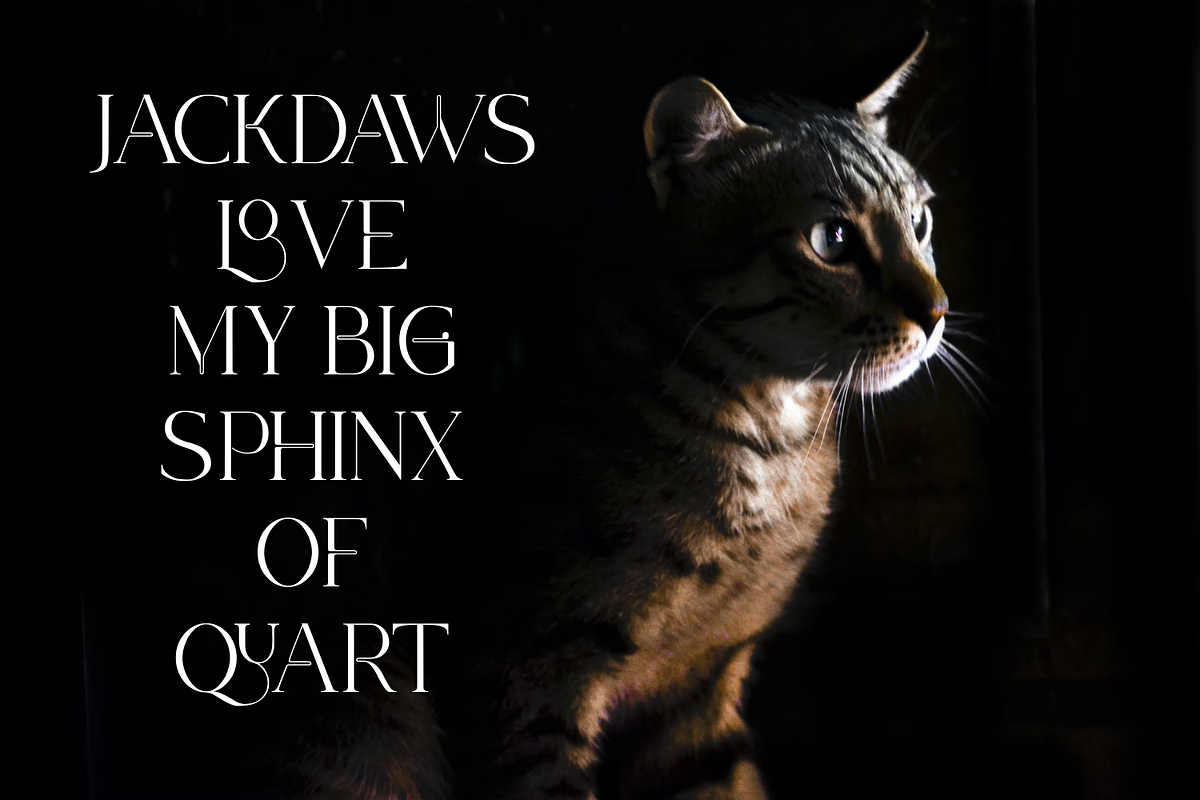 KINERA, a Serif Font by zamjumps (Photo 4 of 11)