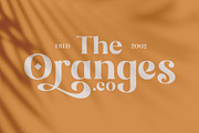 The Brande and Lotaline [UPDATED], a Serif Font by Arterfak Project (Thumbnail 3 of 15)