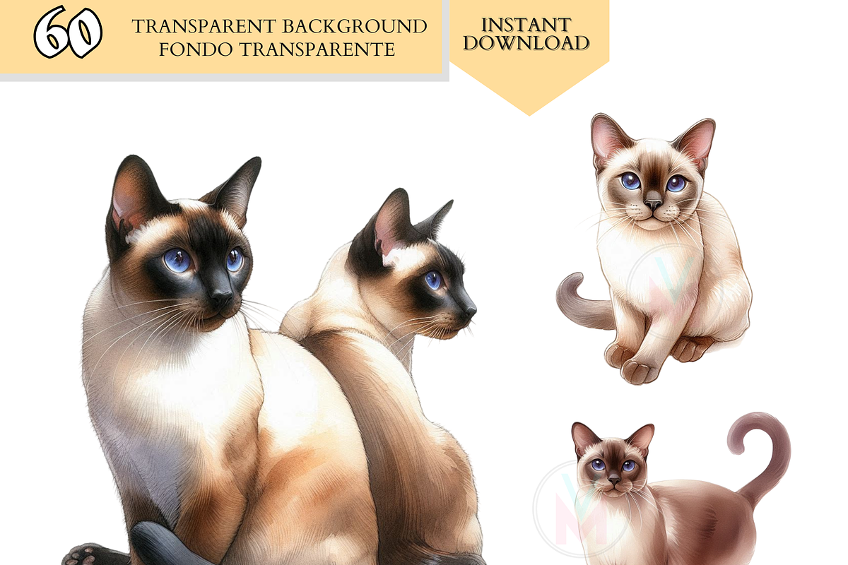 Cat Breeds PNG Bundle Cats Clipart, an Animal Illustration by VM PARTYS  BY TAIRUMA (Photo 3 of 10)