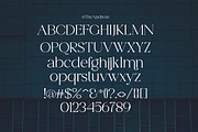 Andreas, a Serif Font by Gatype (Thumbnail 10 of 10)
