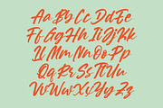 Souther Daleska Modern Brush Font, a Script Font by Letterena Studios Script (Thumbnail 5 of 15)