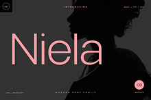 Niela Modern Display