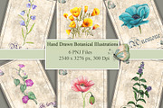 Vintage Style Botanical Cards, an Illustration by Arevka (Thumbnail 1 of 3)