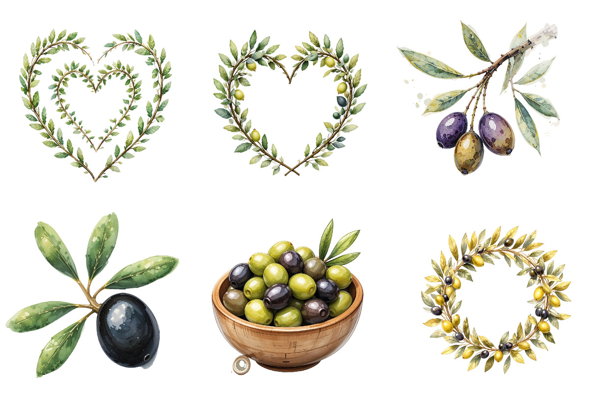 Olives Clipart, Olive Branch, an Illustration by DreamArtGraphic (Photo 3 of 4)