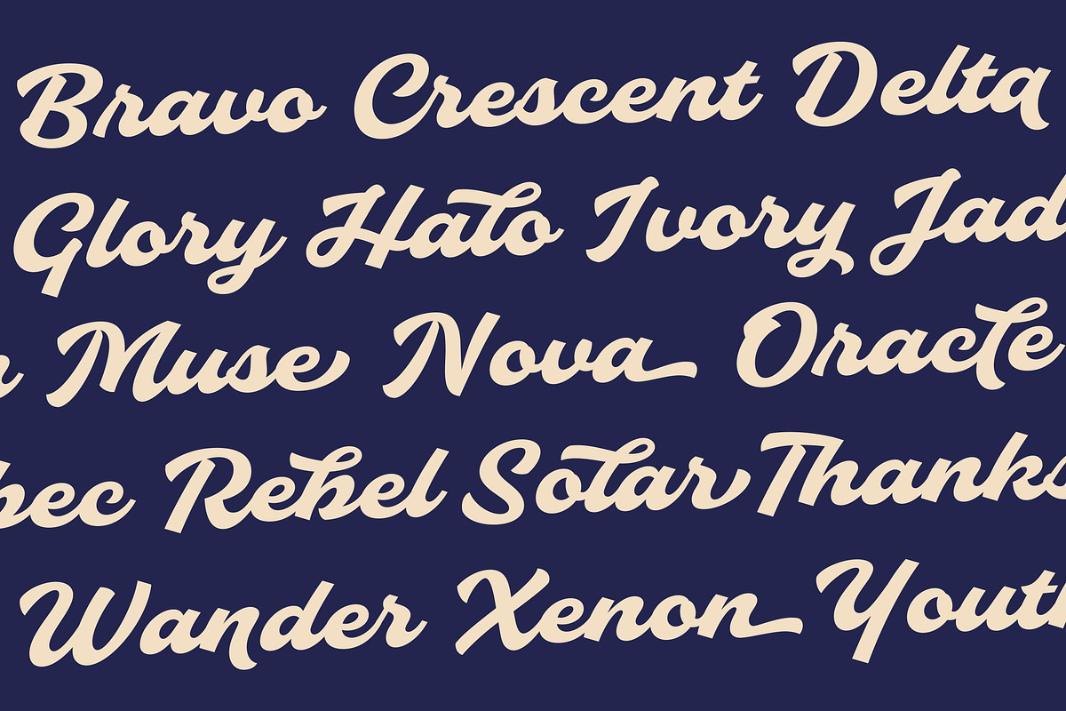 Slideback | Bold & Stylish Script, a Script Font by Glowtype (Photo 14 of 15)