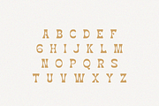 Vintage Monarch - Retro Fonts, a Serif Font by Pen Culture (Thumbnail 5 of 7)
