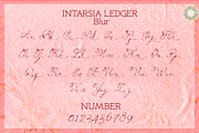 Intarsia Ledger - Artisan Script, a Script Font by Setara Langit CreativeStd (Thumbnail 14 of 14)